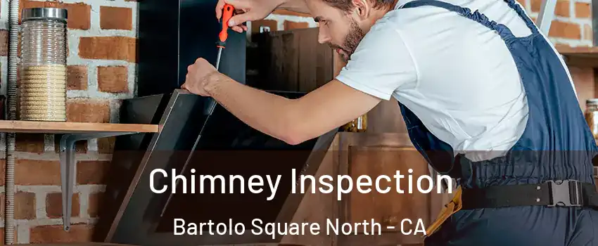 Chimney Inspection Bartolo Square North - CA