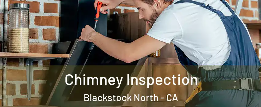 Chimney Inspection Blackstock North - CA