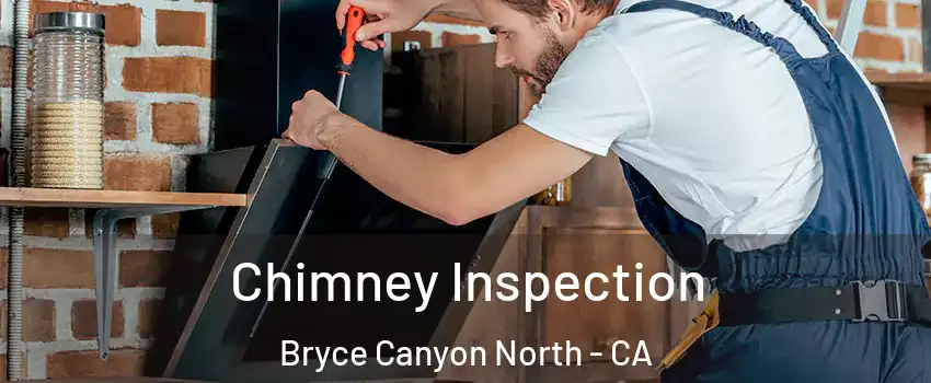 Chimney Inspection Bryce Canyon North - CA