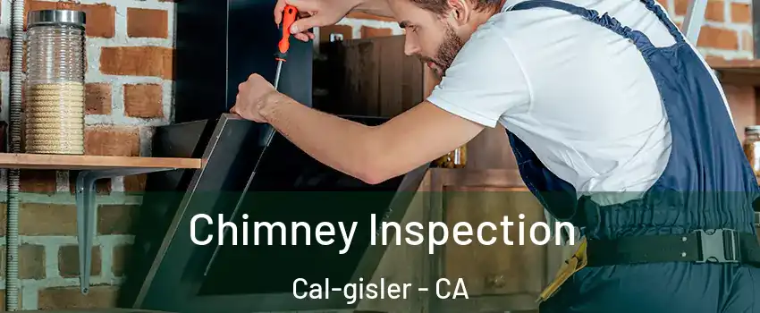 Chimney Inspection Cal-gisler - CA