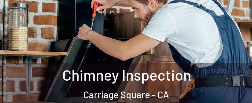 Chimney Inspection Carriage Square - CA