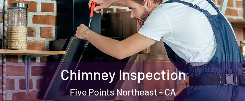 Chimney Inspection Five Points Northeast - CA