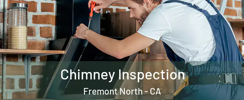 Chimney Inspection Fremont North - CA