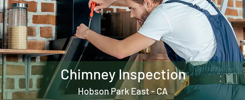 Chimney Inspection Hobson Park East - CA
