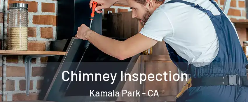 Chimney Inspection Kamala Park - CA