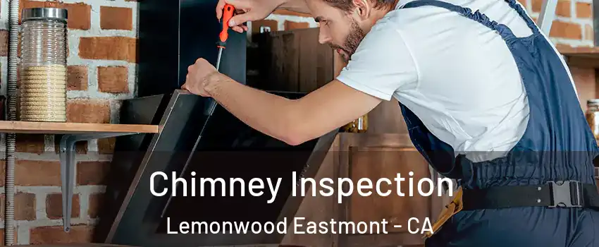 Chimney Inspection Lemonwood Eastmont - CA
