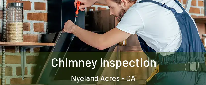 Chimney Inspection Nyeland Acres - CA