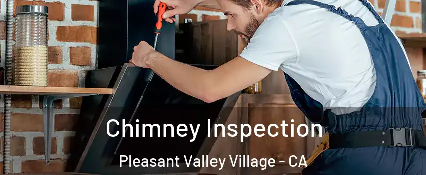 Chimney Inspection Pleasant Valley Village - CA
