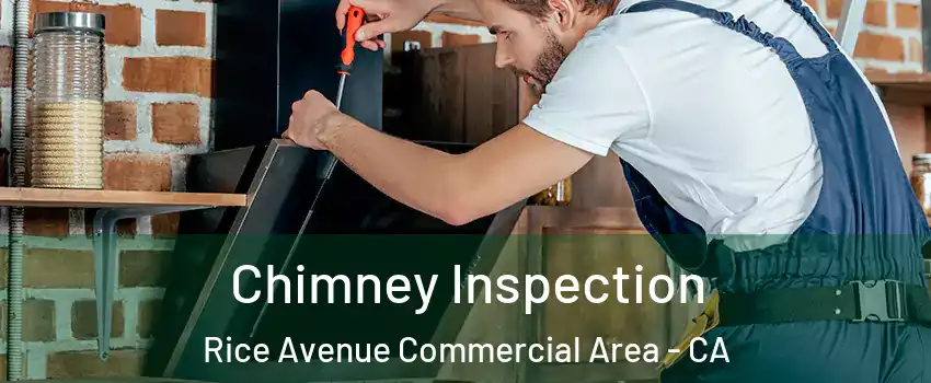 Chimney Inspection Rice Avenue Commercial Area - CA