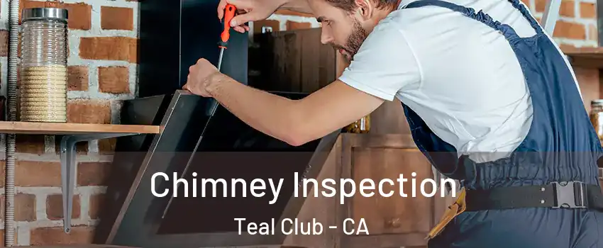 Chimney Inspection Teal Club - CA