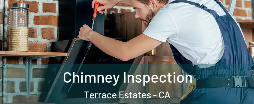 Chimney Inspection Terrace Estates - CA