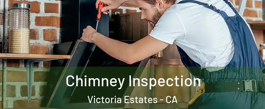 Chimney Inspection Victoria Estates - CA