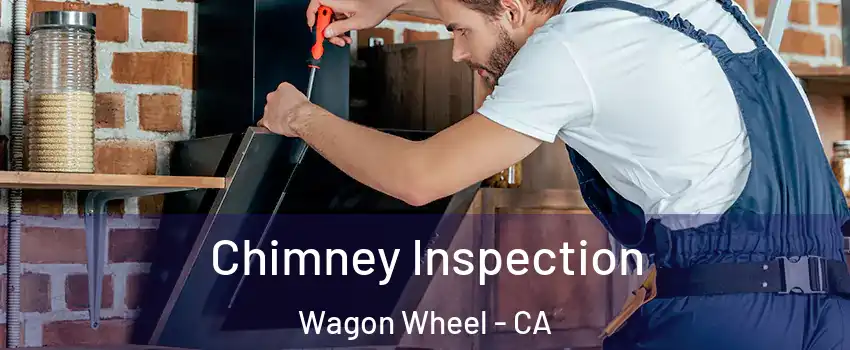 Chimney Inspection Wagon Wheel - CA