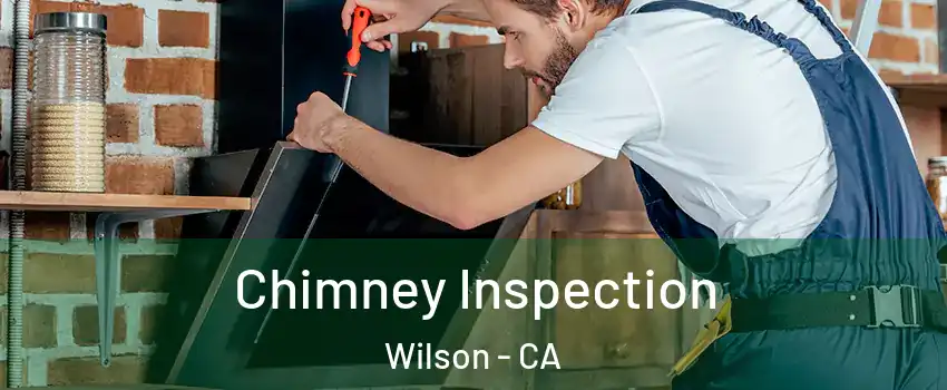 Chimney Inspection Wilson - CA