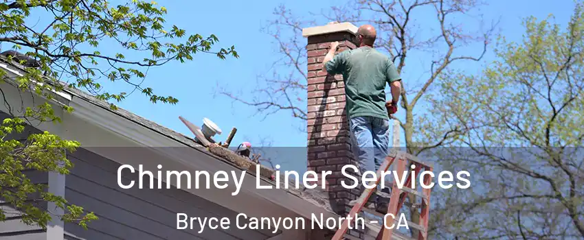 Chimney Liner Services Bryce Canyon North - CA