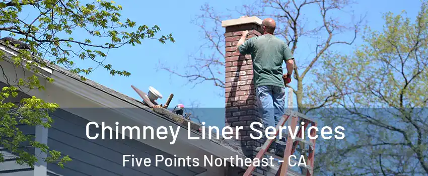 Chimney Liner Services Five Points Northeast - CA