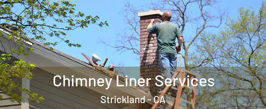 Chimney Liner Services Strickland - CA