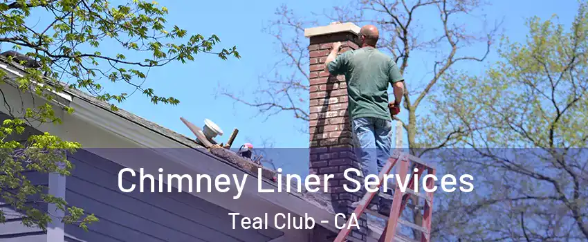 Chimney Liner Services Teal Club - CA
