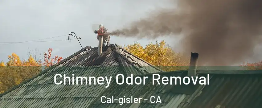 Chimney Odor Removal Cal-gisler - CA