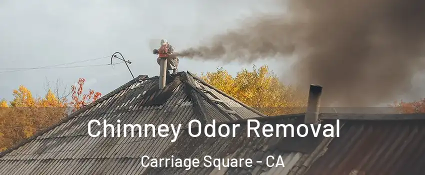 Chimney Odor Removal Carriage Square - CA