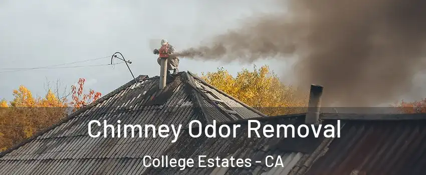 Chimney Odor Removal College Estates - CA