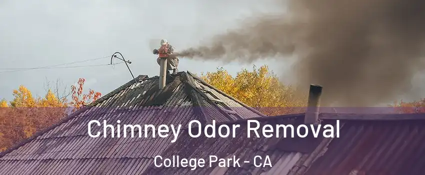 Chimney Odor Removal College Park - CA