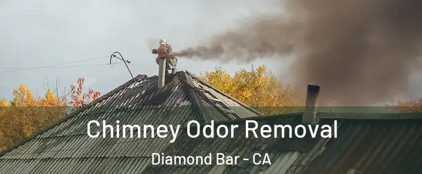 Chimney Odor Removal Diamond Bar - CA