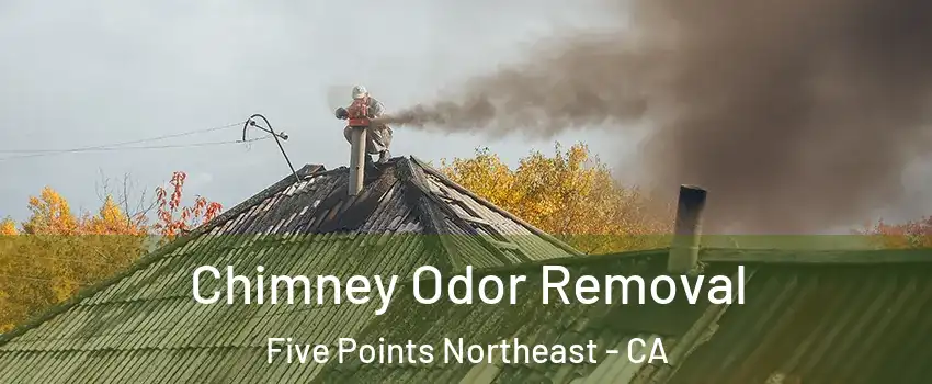 Chimney Odor Removal Five Points Northeast - CA