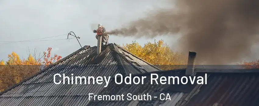 Chimney Odor Removal Fremont South - CA
