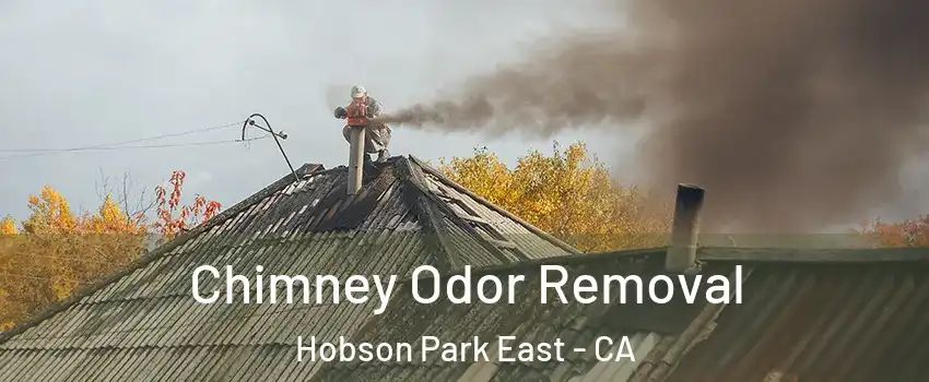 Chimney Odor Removal Hobson Park East - CA