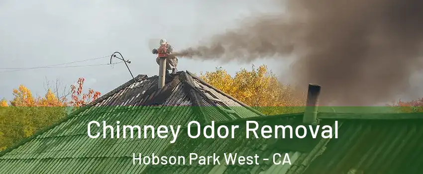 Chimney Odor Removal Hobson Park West - CA