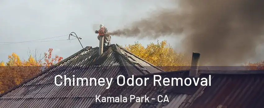 Chimney Odor Removal Kamala Park - CA