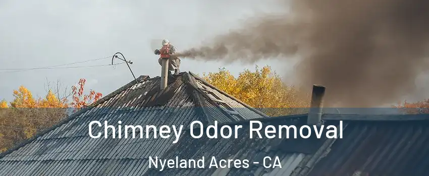 Chimney Odor Removal Nyeland Acres - CA
