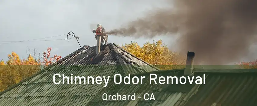 Chimney Odor Removal Orchard - CA
