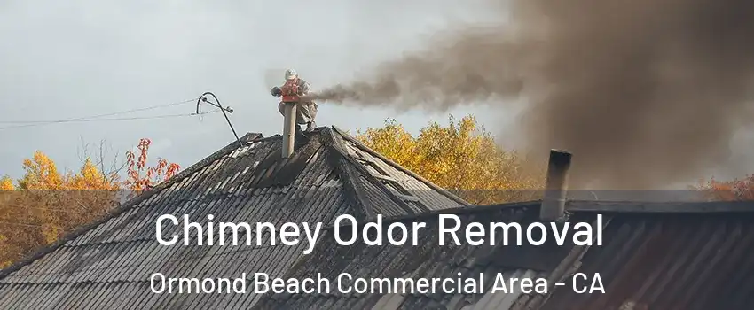 Chimney Odor Removal Ormond Beach Commercial Area - CA