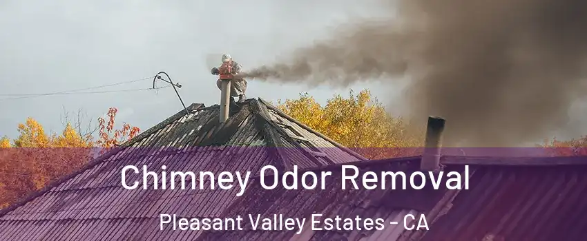 Chimney Odor Removal Pleasant Valley Estates - CA