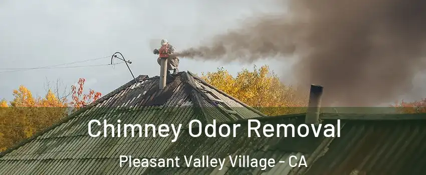 Chimney Odor Removal Pleasant Valley Village - CA