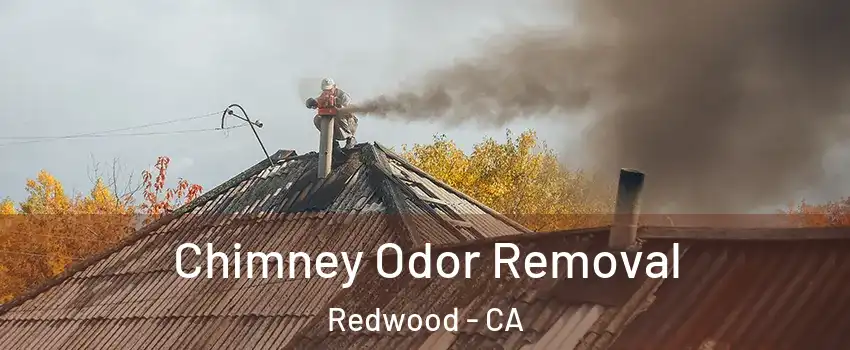 Chimney Odor Removal Redwood - CA