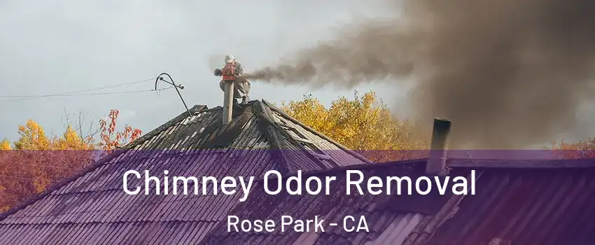 Chimney Odor Removal Rose Park - CA