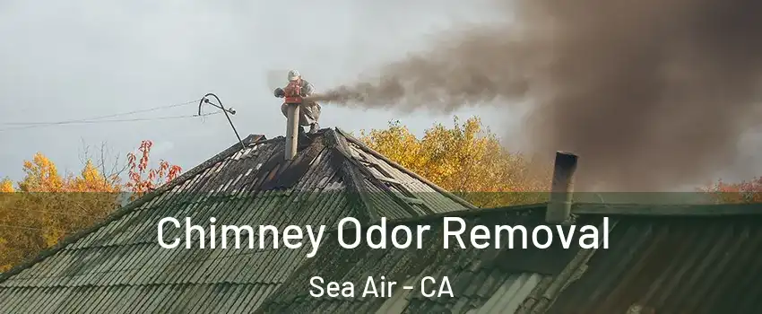Chimney Odor Removal Sea Air - CA