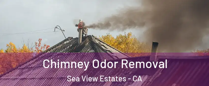 Chimney Odor Removal Sea View Estates - CA