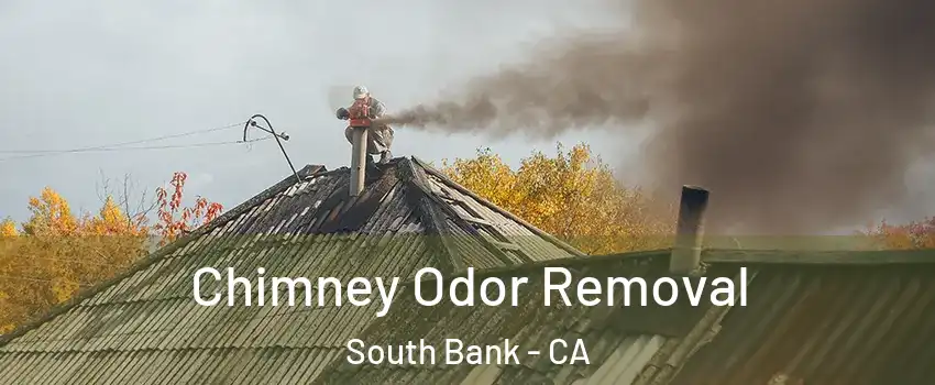 Chimney Odor Removal South Bank - CA