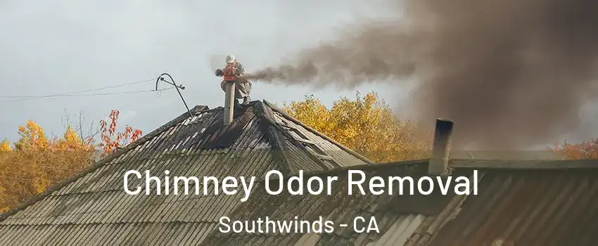 Chimney Odor Removal Southwinds - CA