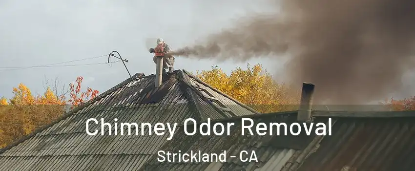Chimney Odor Removal Strickland - CA