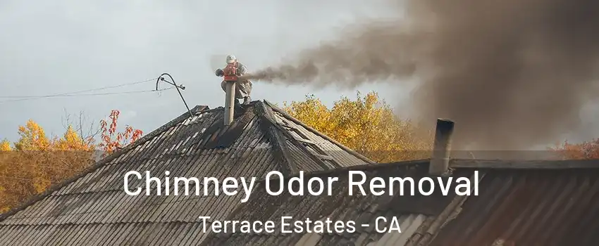 Chimney Odor Removal Terrace Estates - CA