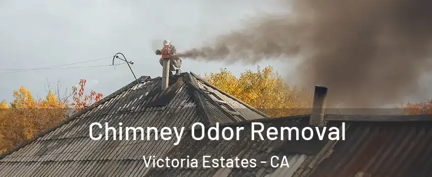 Chimney Odor Removal Victoria Estates - CA