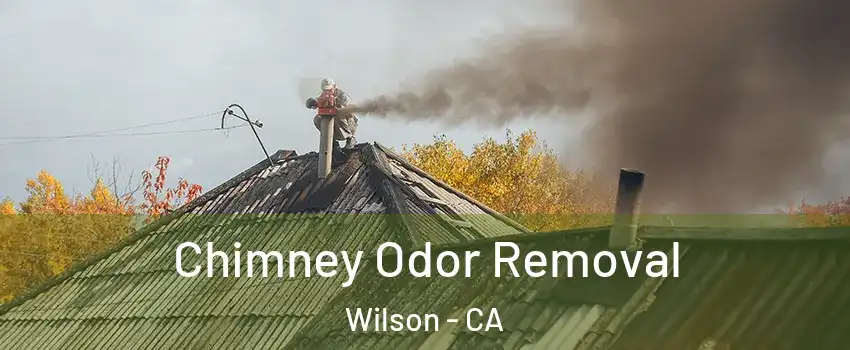 Chimney Odor Removal Wilson - CA