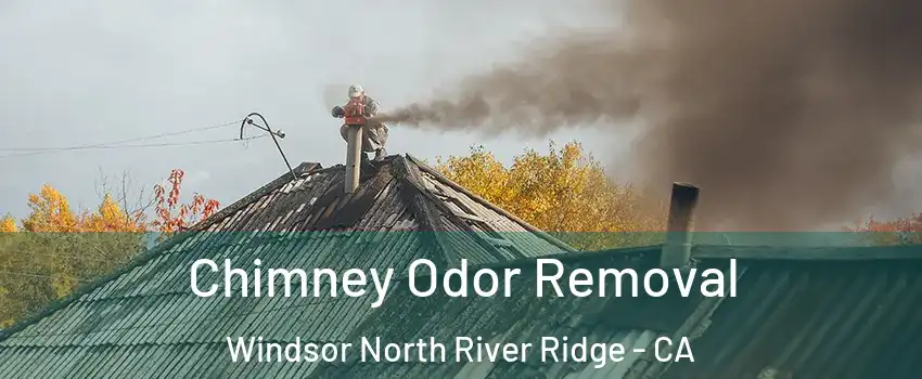 Chimney Odor Removal Windsor North River Ridge - CA