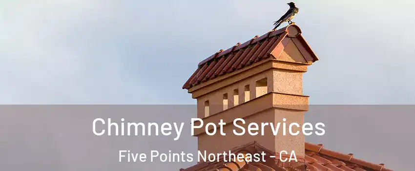 Chimney Pot Services Five Points Northeast - CA