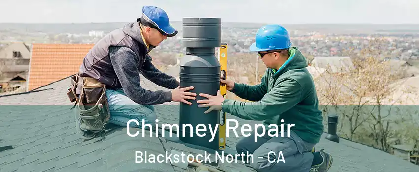 Chimney Repair Blackstock North - CA